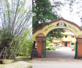 TCR-PARK