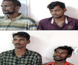 TVM-KAKKA