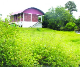alp-kadu