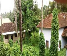alp-kodathi