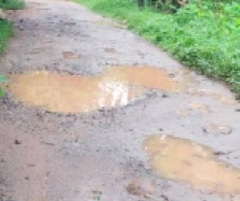 alp-road