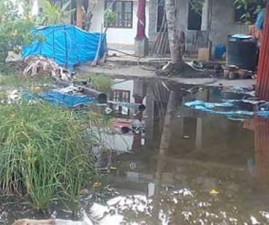 alp-vellam