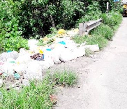 alp-waste