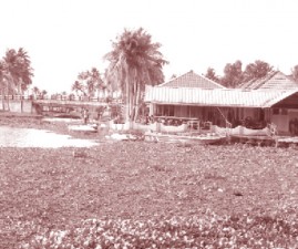 ekm-kadambrayar