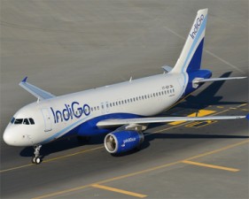 indigo