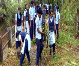 kkd-students