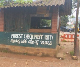 knr-forest