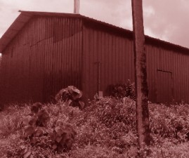 knr-kopra
