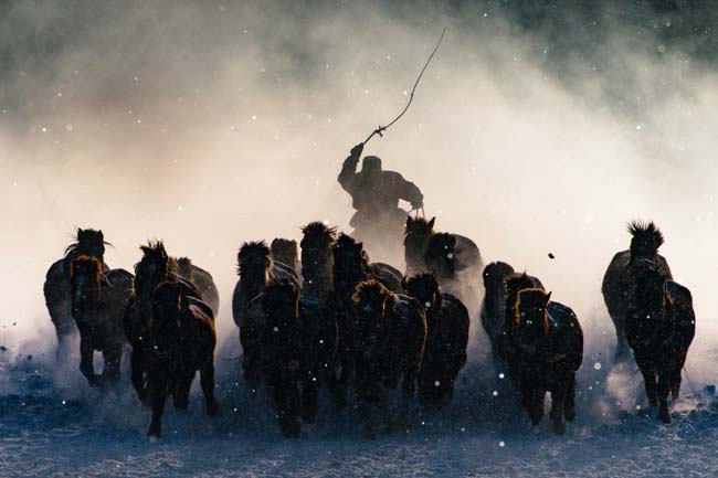 The Winter in Inner Mongolia is very unforgiving. At a freezing temperature of minus twenty and lower with constant breeze of snow from all direction, it was pretty hard to convince myself to get out of the car and take photos. Not until I saw Inner Mongolia horsemen showing off their skills in commanding the steed from a distance, I quickly grab my telephoto lens and capture the moment when one of the horseman charged out from morning mist . 2016 National Geographic Travel Photographer of the Year WINNERS