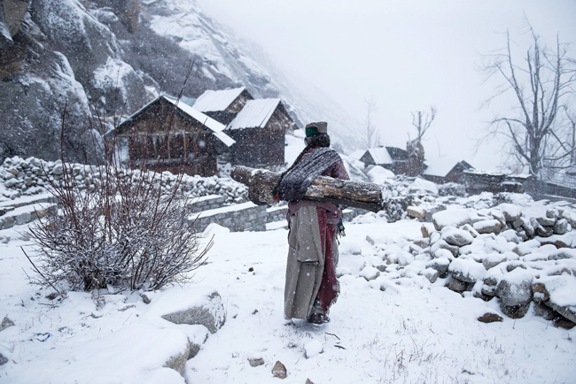 Kinnaura tribal old women in remote village in Himachal Pradesh carrying big log back home to warm up her house 2016 National Geographic Travel Photographer of the Year WINNERS