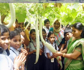pkd-krishischool