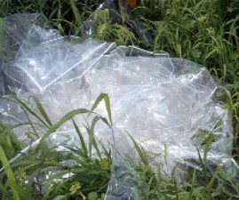 pkd-plastic