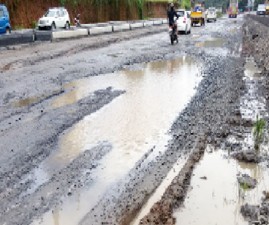 pkd-road