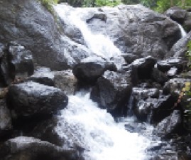pkd-water