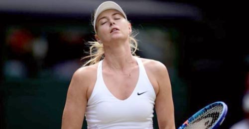 sp-sharapoda