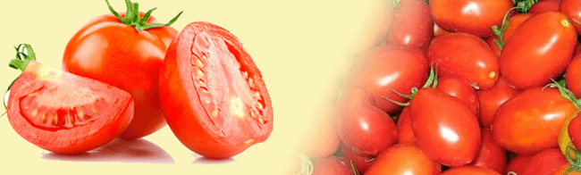 tomatto