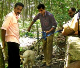 tvm-moshanam