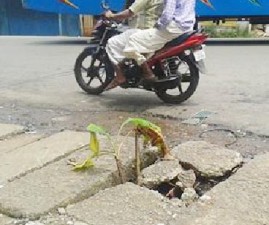 ALP-ROADTHAKARNNU