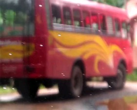 Bus