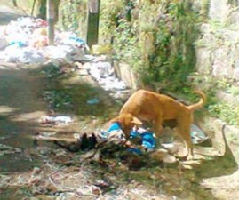 TVM-WASTE