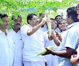 alp-sudheeran