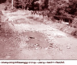 ekm-palam