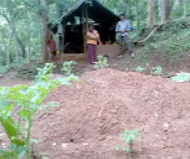 pkd-adivasi
