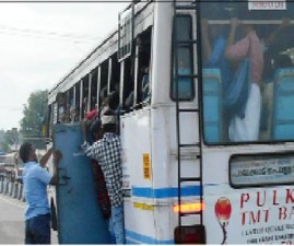 pkd-bus
