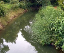 pkd-kanal