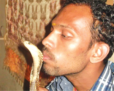 snake2