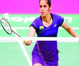 sp-saina