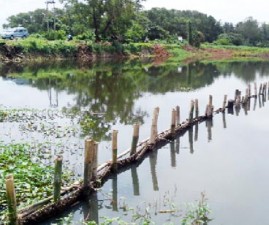 tcr-kulam
