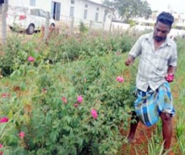tcr-poovu