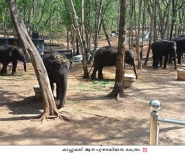 tvm-aana