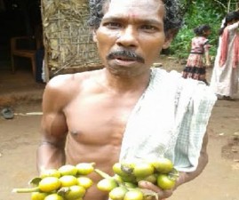 tvm-kanikkar