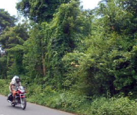 PKD-MARANGAL