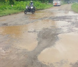 TCR-ROAD