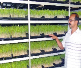 TVM-KRISHI
