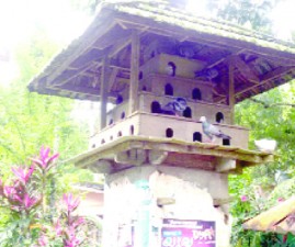 ktm-pravu