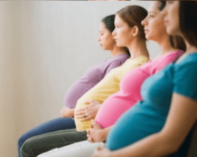 pregnent