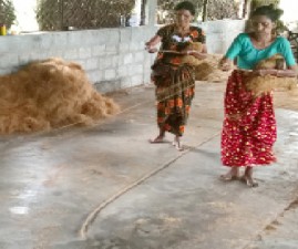 tcr-coir