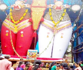 ALP-ONALSAVAM