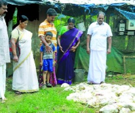 ekm-kozhi