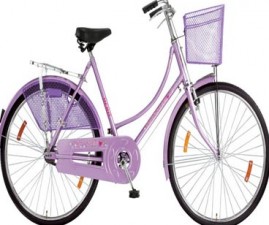 klm-cycle