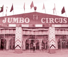 ktm-circus