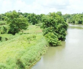 ktm-meenachil