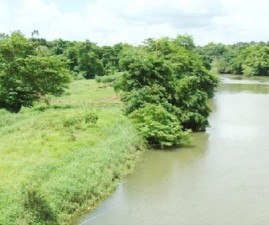 ktm-meenachil