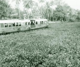 ktm-pola