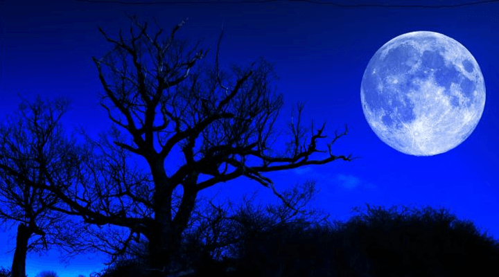 mOON1