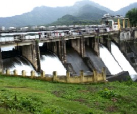 pkd-dam